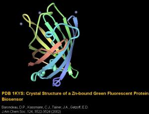 A screenshot of 1KYSK protein Molecule in Kiosk Viewer